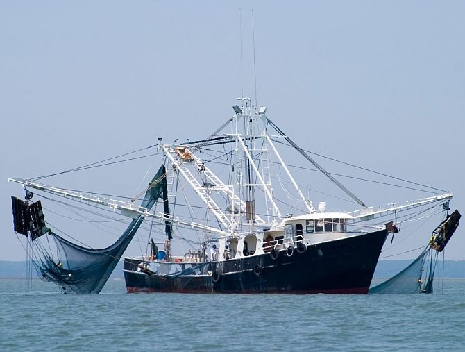 Поздравление с Всемирным днём рыболовства